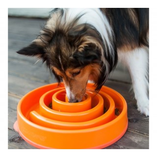 Outward Hound Orange Swirl Fun Feeder Interactive Dog Bowl