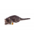 Petstages OrkaKat Catnip Spool Cat Toy