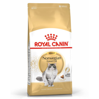 Royal Canin Norwegian Forest 2kg Cat Dry Food