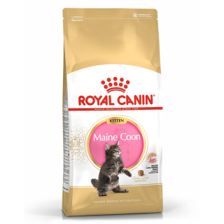 Royal Canin Maine Coon 2kg Kitten Dry Food