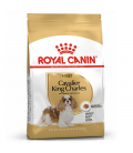 Royal Canin Cavalier King Charles Dog Dry Food