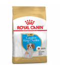 Royal Canin Cavalier King Charles 3kg Puppy Dry Food