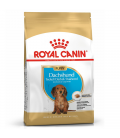 Royal Canin Dachshund 1.5kg Puppy Dry Food