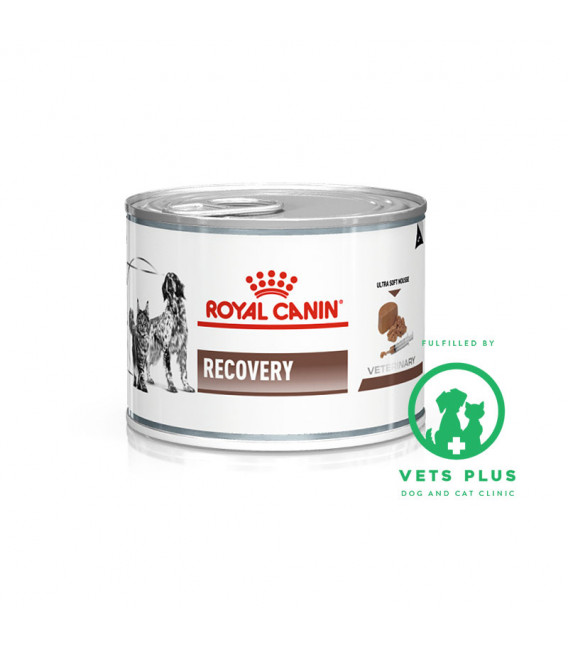 Royal Canin Veterinary Diet RECOVERY 195g Dog & Cat Wet Food