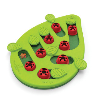 Nina Ottosson Petstages Buggin' Out Puzzle & Play Cat Toy - Level 2