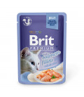 Brit Premium Jelly Fillet with Salmon 85g Cat Wet Food