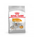 Royal Canin Mini Coat Care Dog Dry Food