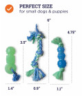 Petstages Mini Dentachew Multi Pack Dog Chew Toy