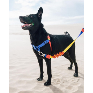 Zee.Dog Puzzle No-Pull Soft-Walk Dog Harness