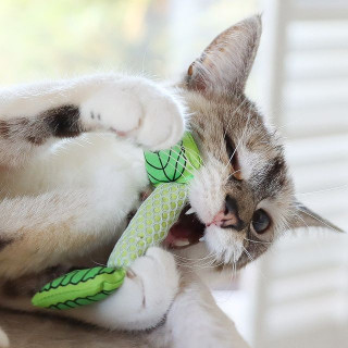Petstages Fresh Breath Mint Stick Cat Toy