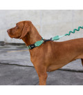 Zee.Dog Army Green Dog Collar
