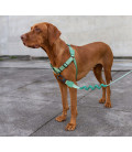 Zee.Dog Army Green No-Pull Soft-Walk Dog Harness