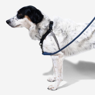 Zee.Dog Gotham No-Pull Soft-Walk Dog Harness