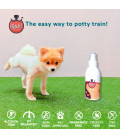 Fetch! Potty Training 150ml Pet Spray
