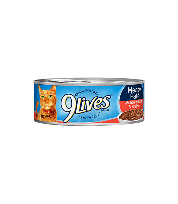 9 Lives Tender Carvings Beef in Gravy 5.5oz Wet Canned Cat food
