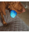 Zee.Dog Brainies Brain Freeze Dog Chew Toy