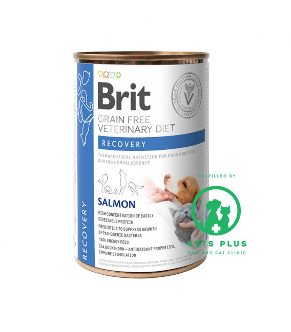 Brit Grain-Free Veterinary Diet Recovery Salmon 400g Dog and Cat Wet Food