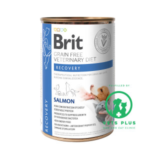 Brit Grain-Free Veterinary Diet Recovery Salmon 400g Dog and Cat Wet Food