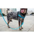 Zee.Dog Solids Ultimate Blue Dog Leash