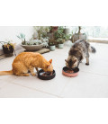 Zee.Cat Duo Black Cat Bowl