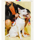 Zee.Dog Prisma Dog Collar