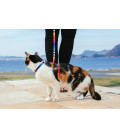 Zee.Cat Prisma Cat H-Harness with Leash