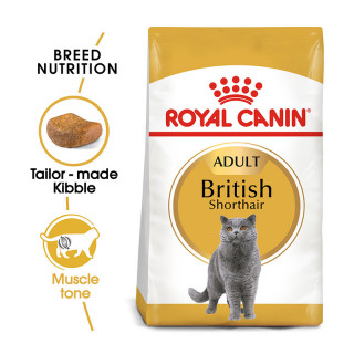 Royal Canin Feline Breed Nutrition British Shorthair 2kg Cat Dry Food
