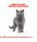 Royal Canin British Shorthair 2kg Cat Dry Food