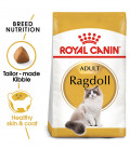 Royal Canin Ragdoll 2kg Cat Dry Food