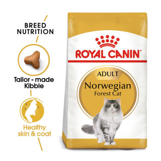 Royal Canin Feline Breed Nutrition Norwegian Forest 2kg Cat Dry Food