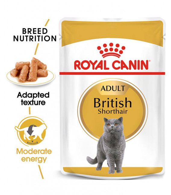 Royal Canin British Shorthair 85g Cat Wet Food