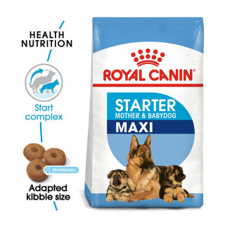 Royal Canin Size Health Nutrition Maxi Starter Mother & Babydog 4kg Dog Dry Food