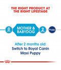 Royal Canin Maxi Starter Mother & Babydog 4kg Dog Dry Food