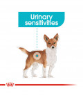 Royal Canin Mini Urinary Care Dog Dry Food