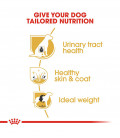 Royal Canin Bichon Frise Dog Dry Food