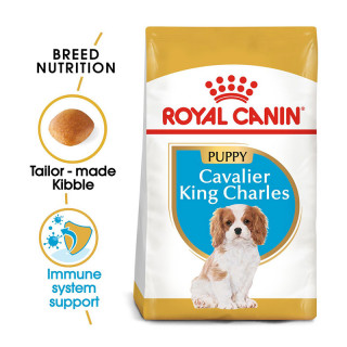 Royal Canin Breed Health Nutrition Cavalier King Charles 1.5kg Puppy Dry Food