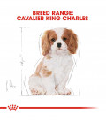 Royal Canin Cavalier King Charles 1.5kg Puppy Dry Food
