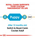 Royal Canin Cocker Spaniel 3kg Puppy Dry Food
