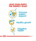 Royal Canin Jack Russell Terrier Puppy Dry Food