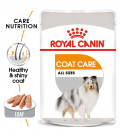 Royal Canin Canine Care Nutrition Coat Care 85g Dog Wet Food