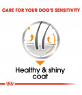 Royal Canin Coat Care 85g Dog Wet Food