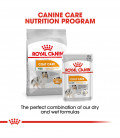 Royal Canin Coat Care 85g Dog Wet Food