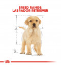 Royal Canin Labrador Retriever 3kg Puppy Dry Food