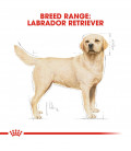Royal Canin Labrador Retriever 3kg Dog Dry Food