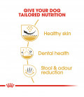 Royal Canin Shih Tzu Dog Dry Food