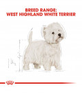 Royal Canin West Highland White Terrier Dog Dry Food