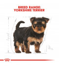 Royal Canin Yorkshire Terrier 1.5kg Puppy Dry Food