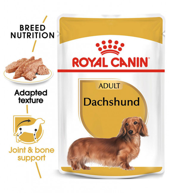 Royal Canin Dachshund 85g Dog Wet Food