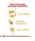 Royal Canin Yorkshire Terrier 85g Dog Wet Food