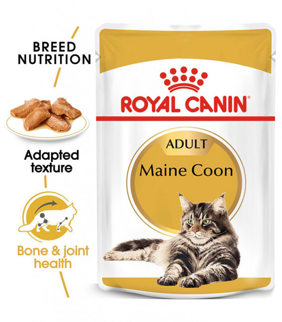 Royal Canin Maine Coon 85g Cat Wet Food